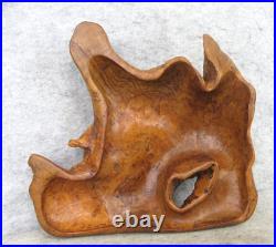 Vintage OOAK Hand Carved Walnut Burl Wood FREEFORM Live Edge Table Decor Bowl