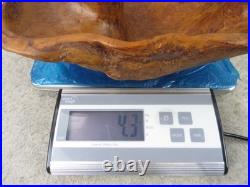 Vintage OOAK Hand Carved Walnut Burl Wood FREEFORM Live Edge Table Decor Bowl