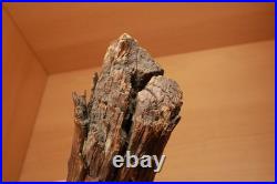 Vintage P Wells Trees of Mystery Souvenir Wood Carving Face Forest Spirit Folk Vintage P Wells Trees of Mystery Souvenir Wood Carving Face Forest Spirit Folk
