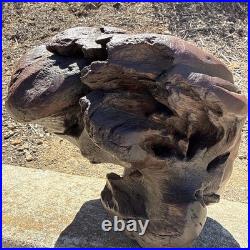 Vintage Raw Carved Wood Lady Figure sculpture Beautiful READ DESC