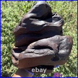 Vintage Raw Carved Wood Lady Figure sculpture Beautiful READ DESC