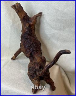 Vintage Root Burl Wood Carving Horned Animal Spirit Folk Art Sculpture Rustic PN