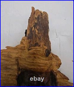 Vintage Wood Carving Figure Old Man Tree Spirit Face SAR folk art 21 (59)