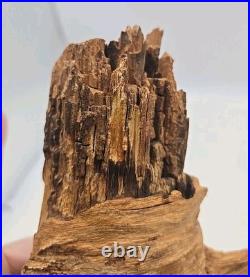 Vintage Wood Carving Figure Old Man Tree Spirit Face SAR folk art 21 (59)