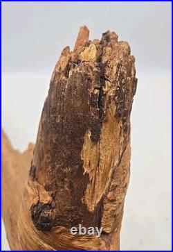 Vintage Wood Carving Figure Old Man Tree Spirit Face SAR folk art 21 (59)