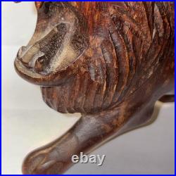 Vintage hand carved lion roaring showing teeth, very light wood. Late 60's-70's