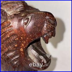 Vintage hand carved lion roaring showing teeth, very light wood. Late 60's-70's