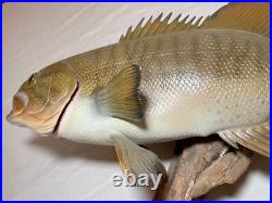 Vintage handmade EG carved wood smallmouth bass wall fish mount trophy sculpture Vintage handmade EG carved wood smallmouth bass wall fish mount trophy sculpture