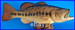 Vtg Big Sky Carvers Largemouth Bass Wood Carving Burl 17 Rare Fish Sculpture Un Vtg Big Sky Carvers Largemouth Bass Wood Carving Burl 17 Rare Fish Sculpture Un