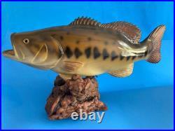 Vtg Big Sky Carvers Largemouth Bass Wood Carving Burl 17 Rare Fish Sculpture Un Vtg Big Sky Carvers Largemouth Bass Wood Carving Burl 17 Rare Fish Sculpture Un