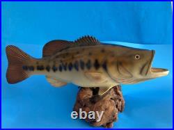 Vtg Big Sky Carvers Largemouth Bass Wood Carving Burl 17 Rare Fish Sculpture Un Vtg Big Sky Carvers Largemouth Bass Wood Carving Burl 17 Rare Fish Sculpture Un