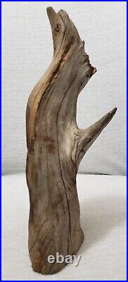 Vtg Junior Cobb Hand Carved Wood Tree Spirit Statue Folk Art Signed Carving 9