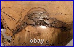 WOW! Ron Pessolano Signed Studio Turned Wood Vase SPALTED SUGAR MAPLE BURL