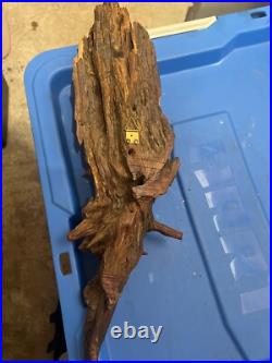 Wood Carving Folk Art Tree Spirit Mythical One Of A Kind