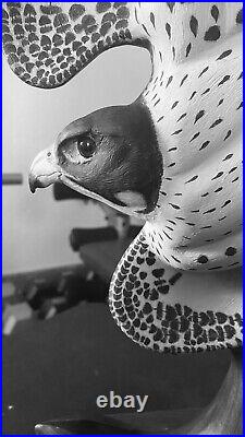 Wood Carving Sculpture, Falcon, Falconry, Falconry Art, Birds of Prey, CesArt.org