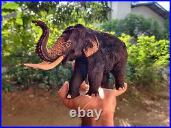Wood Elephant Beautiful Carving Hand Carved Amber Figurine Home Decor Unique Gif