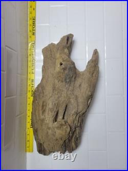 Wood Sculpture Natural Driftwood Gorgeous Carving Mysterious Man Vtg 20L 9.5w