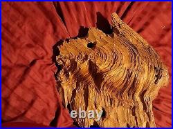 Wood Spirit Carving Face Mountain Man Sculpture Folk Art Crotch Of Cherry Tree