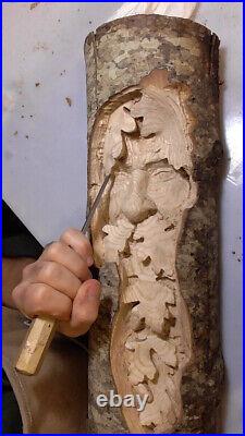 Wood spirit carving greenman gnome wall hanging COLORED SMALL VERSION